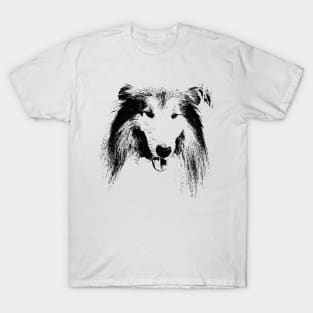 Collie Face Design - A Collie Christmas Gift T-Shirt